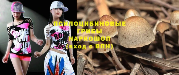 MDMA Беломорск